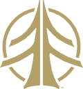 Cardiff Snowcraft logo