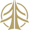 Cardiff Snowcraft logo