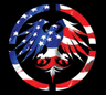 Never Summer logo